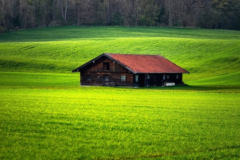 un paisaje de cabana en el campo