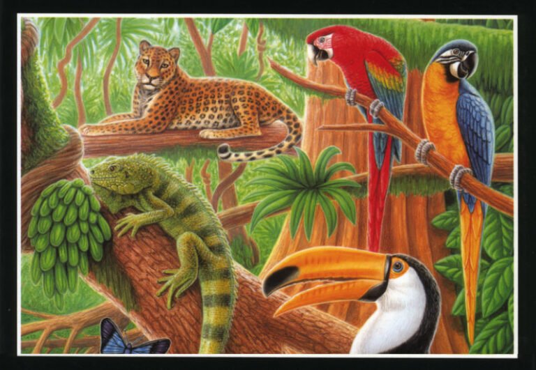 un viejo en la selva con libros