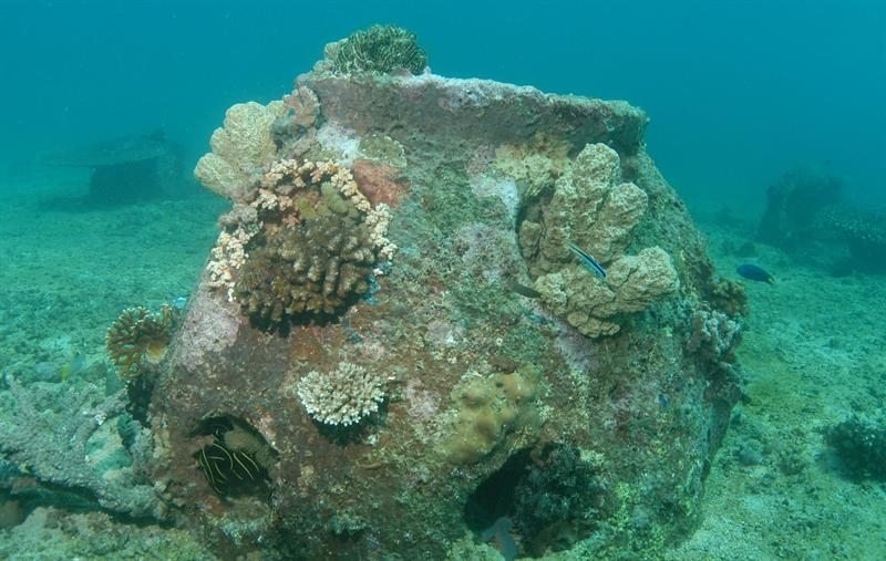 Son efectivas las urnas biodegradables para el mar en el medio ambiente