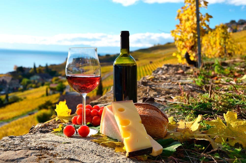 Qué puedes descubrir en la ruta del vino y queso en Querétaro 3 Qué puedes descubrir en la ruta del vino y queso en Querétaro