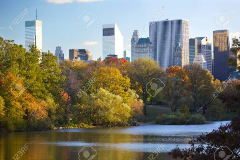 vista panoramica de central park en otono